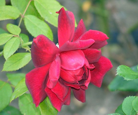 Oklahoma photo ok2014_07310006_zps97a7770b.jpg